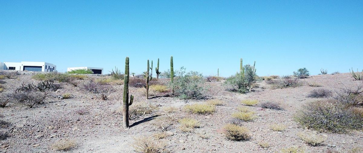 Foto de terreno habitacional en venta en  , balandra, la paz, baja california sur, 29496412 No. 04