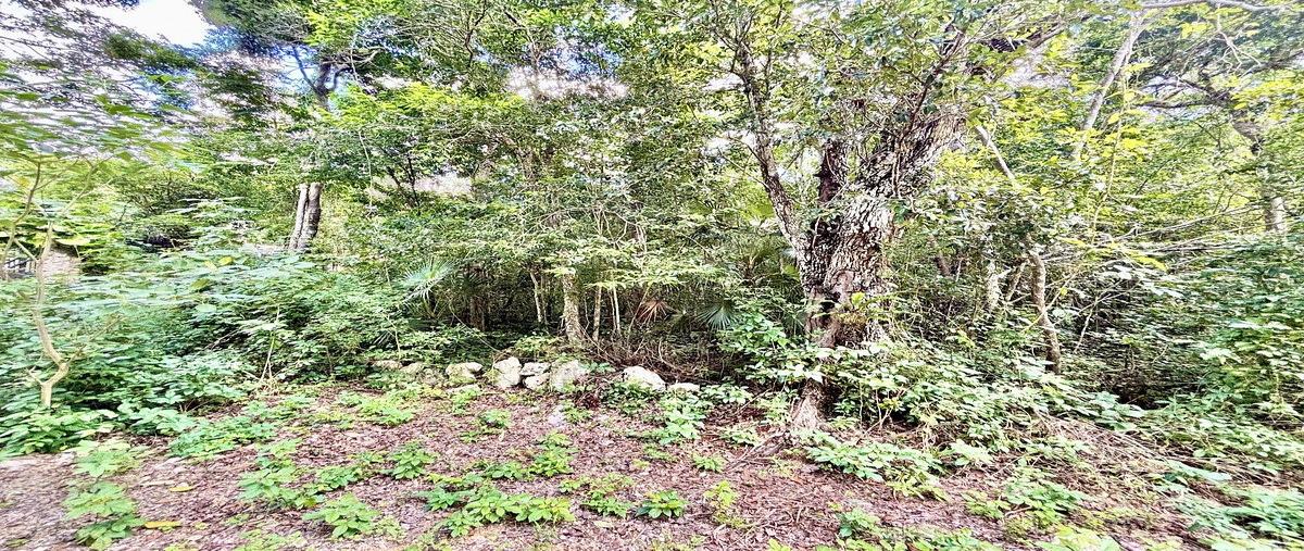 Foto de terreno habitacional en venta en balche , ciudad chemuyil, tulum, quintana roo, 0 No. 05