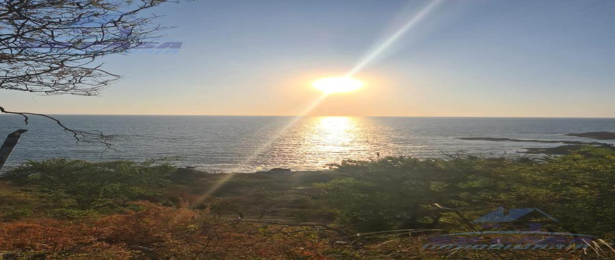 Foto de terreno habitacional en venta en  , balcones al mar, acapulco de juárez, guerrero, 28561717 No. 05