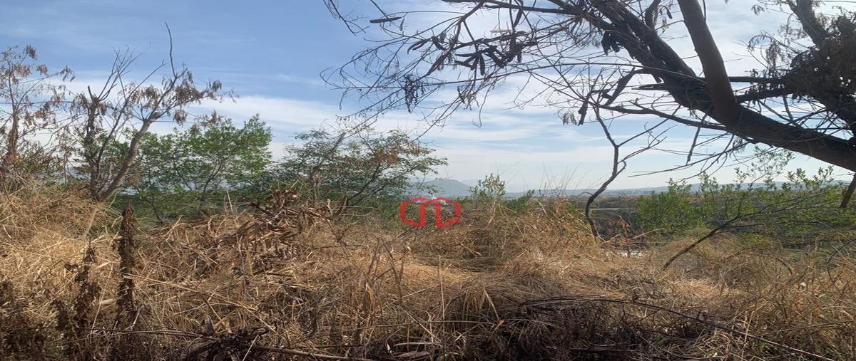 Foto de terreno habitacional en venta en  , balcones de valle alto, monterrey, nuevo león, 0 No. 04