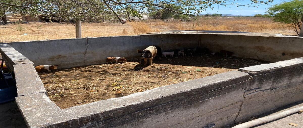 Foto de terreno habitacional en venta en balneario san jeronimo , carretera, ocotlán, jalisco, 0 No. 05