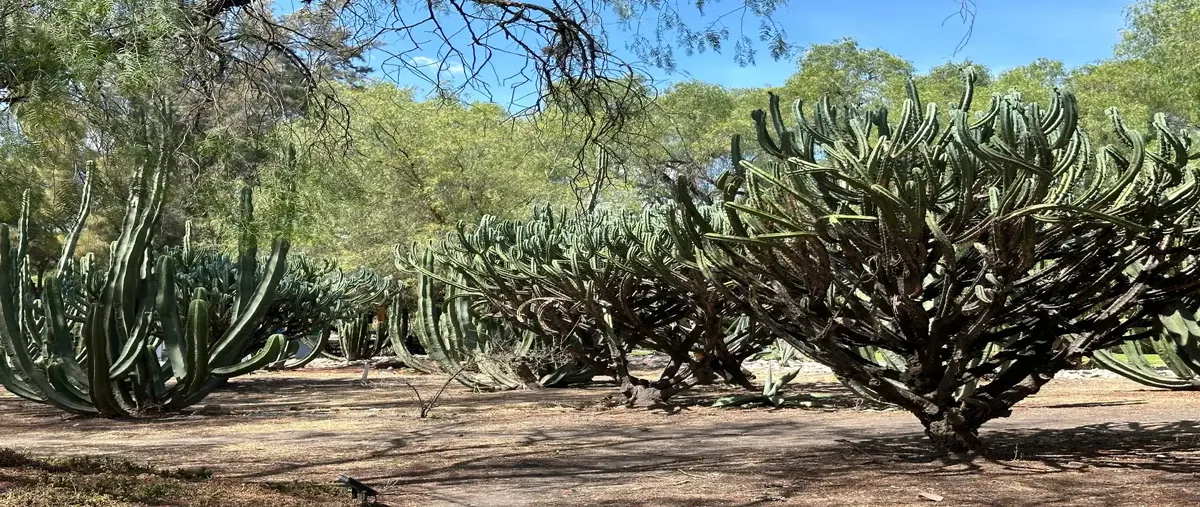 Foto de terreno habitacional en venta en balvanera polo & country club 30, corregidora, querétaro, querétaro, 0 No. 05