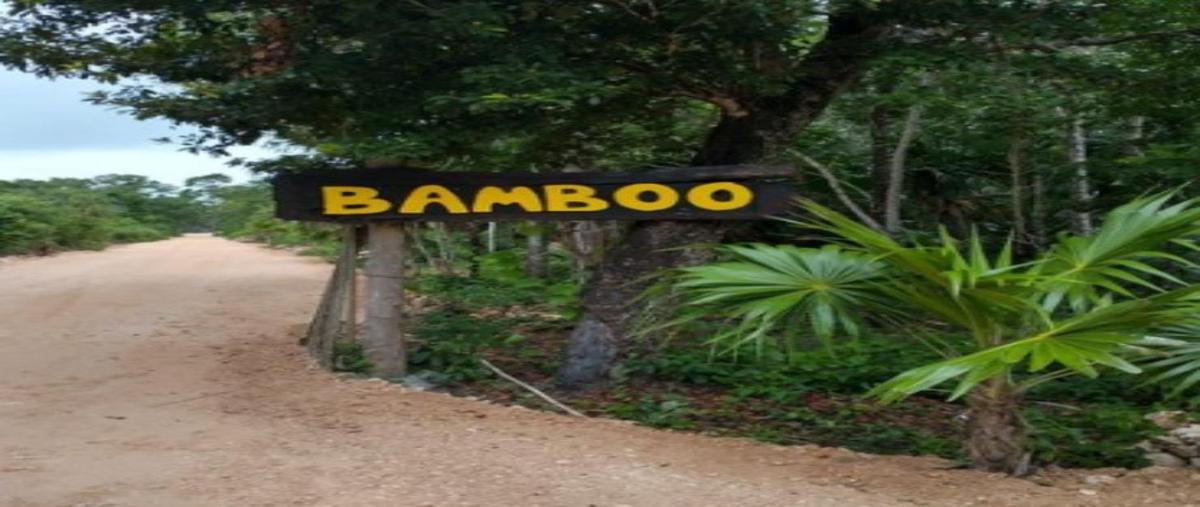 Foto de terreno habitacional en bamboo iii 295, puerto morelos, puerto morelos, quintana roo, 0 foto 01 Foto de terreno habitacional en venta en bamboo iii 295, puerto morelos, puerto morelos, quintana roo, 0 No. 01