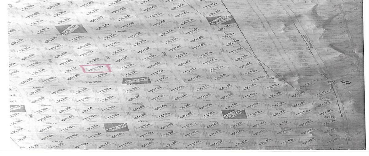 Foto de terreno habitacional en bamboo iii 295, puerto morelos, puerto morelos, quintana roo, 0 foto 02 Foto de terreno habitacional en venta en bamboo iii 295, puerto morelos, puerto morelos, quintana roo, 0 No. 02