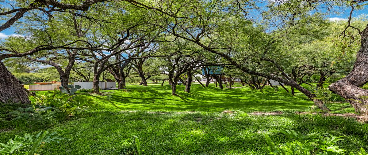 Foto de rancho en banda oaxaca y rancho nuevo , rancho nuevo (rancho nuevo de banda), san miguel de allende, guanajuato, 30126454 foto 01 Foto de rancho en venta en banda oaxaca y rancho nuevo , rancho nuevo (rancho nuevo de banda), san miguel de allende, guanajuato, 30126454 No. 01