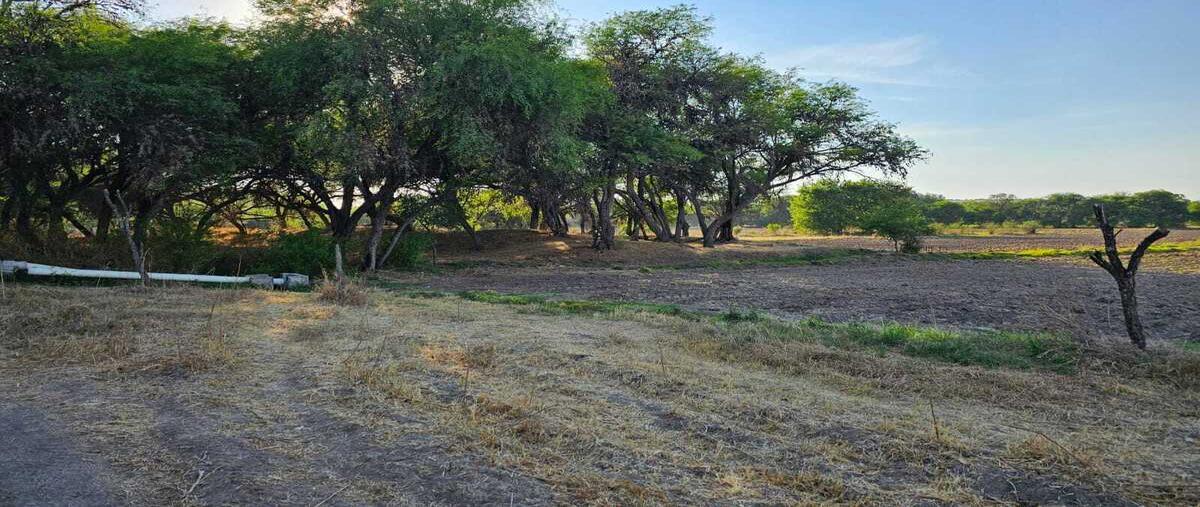 Foto de terreno habitacional en venta en  , banda, san miguel de allende, guanajuato, 29806666 No. 03