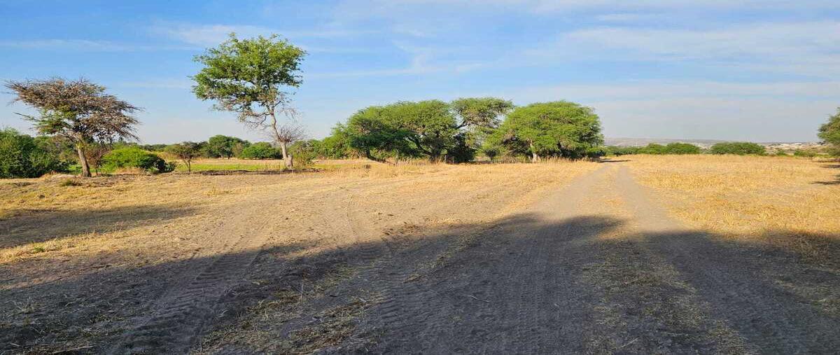 Foto de terreno habitacional en venta en  , banda, san miguel de allende, guanajuato, 29806666 No. 04