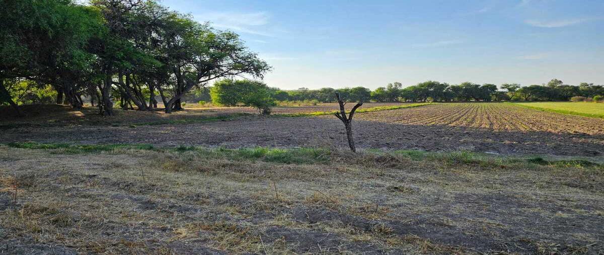 Foto de terreno habitacional en venta en  , banda, san miguel de allende, guanajuato, 29806666 No. 05