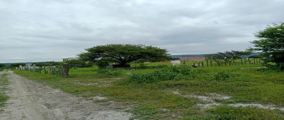 Foto de terreno habitacional en venta en  , banda, san miguel de allende, guanajuato, 0 No. 04