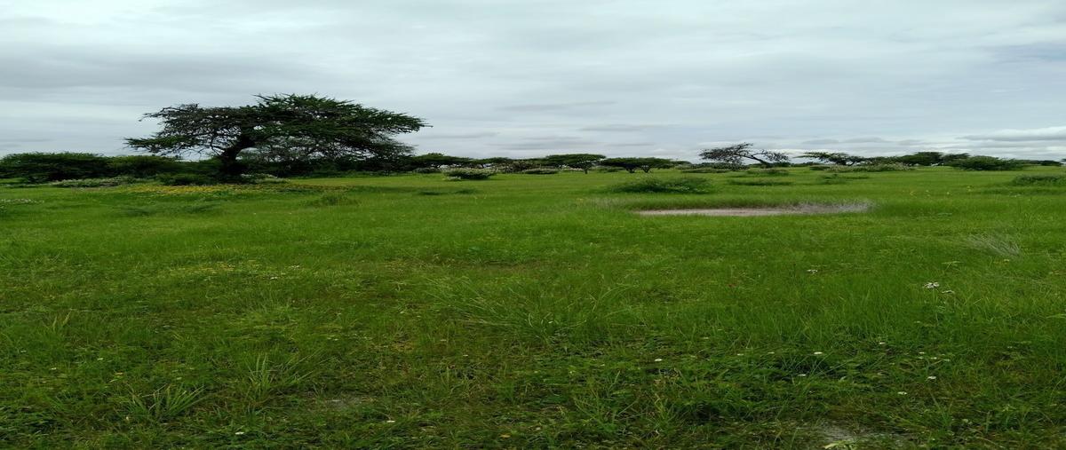 Foto de terreno habitacional en venta en  , banda, san miguel de allende, guanajuato, 0 No. 05