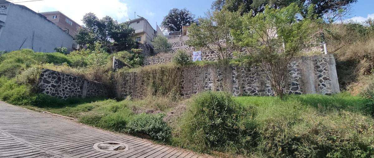 Foto de terreno habitacional en venta en  , banderilla centro, banderilla, veracruz de ignacio de la llave, 0 No. 03