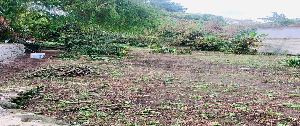 Foto de terreno habitacional en venta en  , banderilla centro, banderilla, veracruz de ignacio de la llave, 0 No. 03