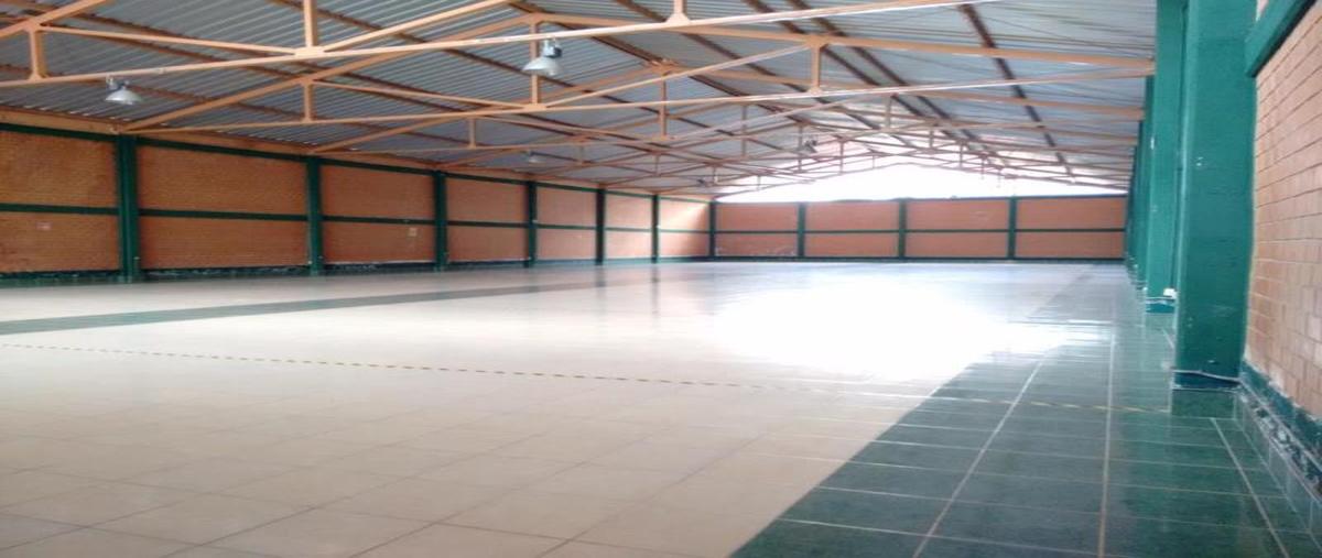 Foto de bodega en venta en  , banderilla centro, banderilla, veracruz de ignacio de la llave, 30157728 No. 04