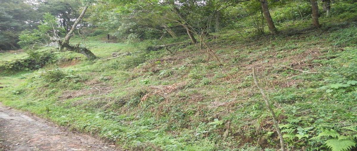 Foto de terreno habitacional en venta en  , banderilla centro, banderilla, veracruz de ignacio de la llave, 30298390 No. 04