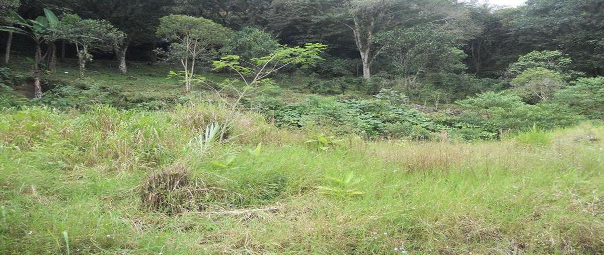 Foto de terreno habitacional en venta en  , banderilla centro, banderilla, veracruz de ignacio de la llave, 30298391 No. 03