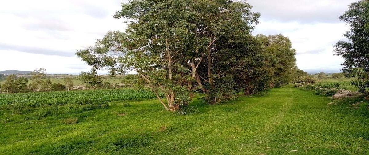 Foto de terreno habitacional en venta en  , bañe, aculco, méxico, 25964461 No. 04