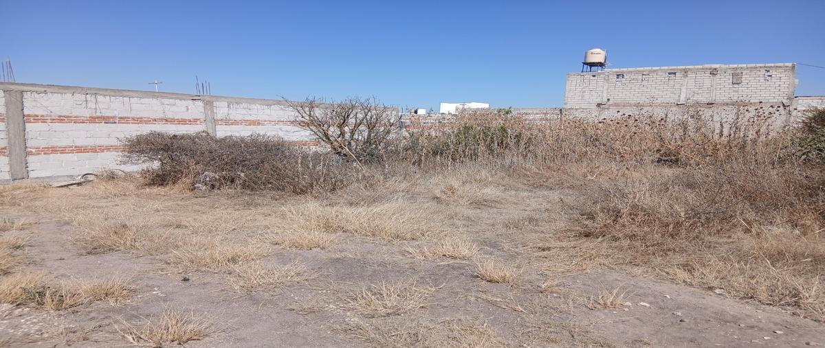 Foto de terreno habitacional en venta en  , banthí, san juan del río, querétaro, 0 No. 04