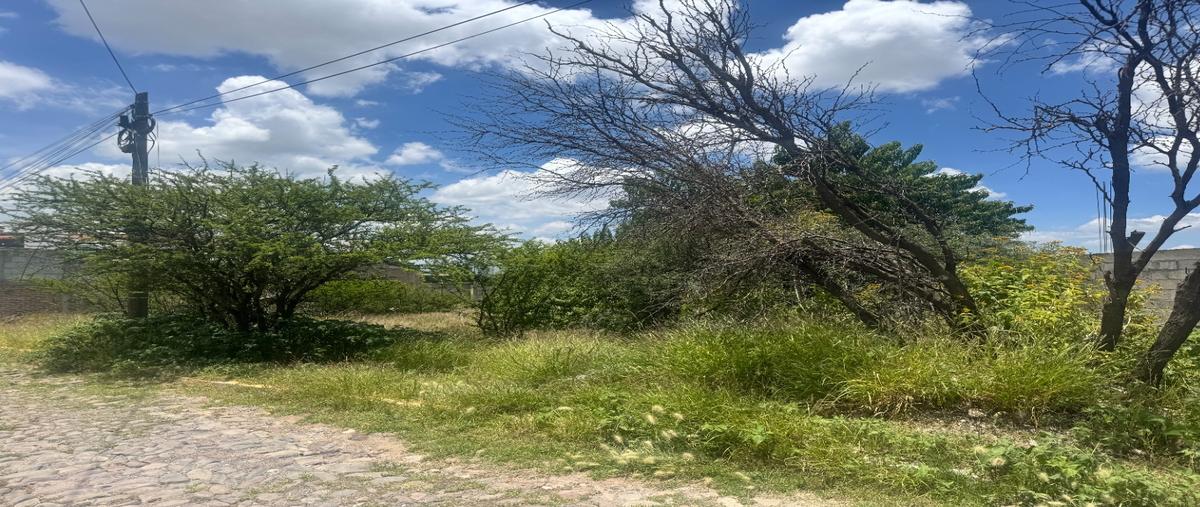 Foto de terreno habitacional en venta en  , banthí, san juan del río, querétaro, 0 No. 03