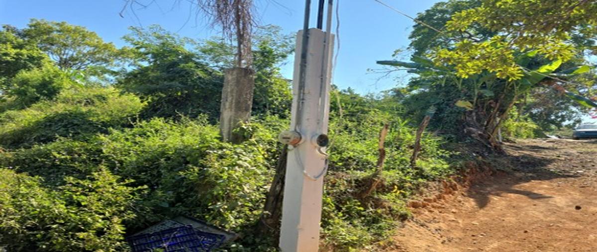 Foto de terreno comercial en venta en  , banús vallarta, puerto vallarta, jalisco, 0 No. 05