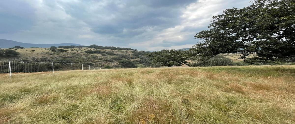 Foto de terreno habitacional en renta en  , barajas (hacienda vieja), chapa de mota, méxico, 29278273 No. 03