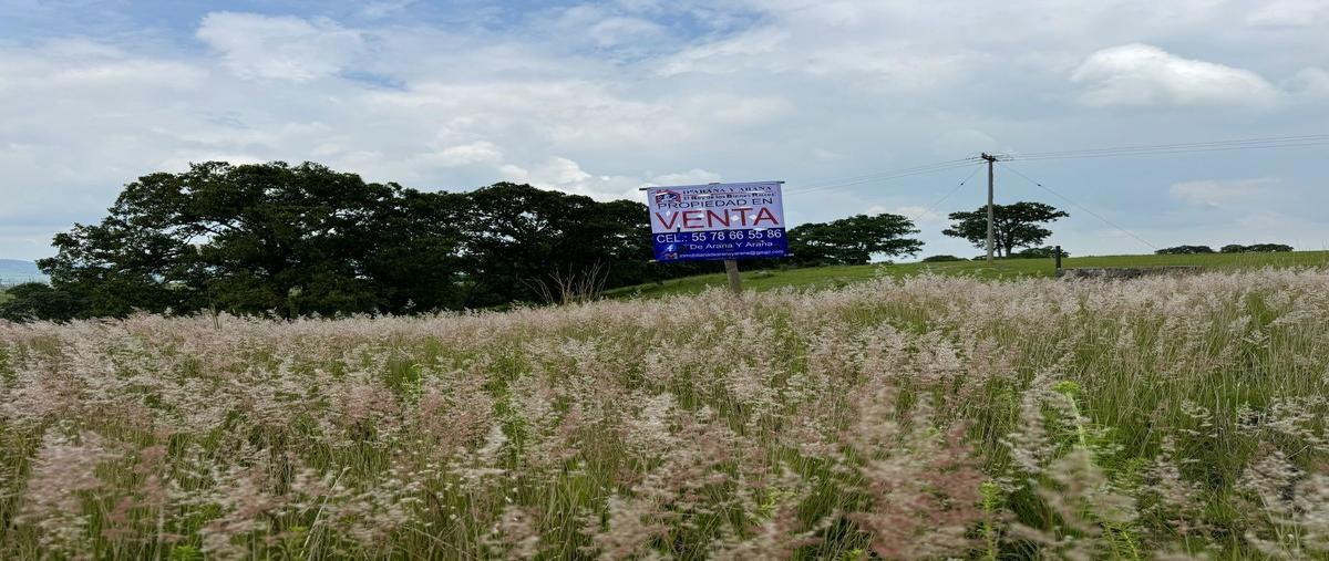 Foto de terreno habitacional en , barajas (hacienda vieja), chapa de mota, méxico, 29851073 foto 04 Foto de terreno habitacional en venta en , barajas (hacienda vieja), chapa de mota, méxico, 29851073 No. 04