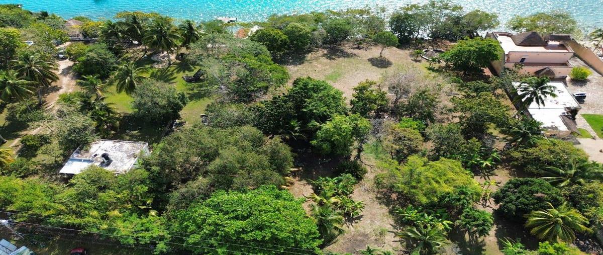 Foto de terreno habitacional en , bárbara guerrero pérez, bacalar, quintana roo, 0 foto 01 Foto de terreno habitacional en venta en , bárbara guerrero pérez, bacalar, quintana roo, 0 No. 01