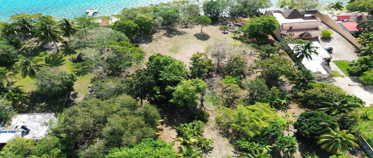 Foto de terreno habitacional en , bárbara guerrero pérez, bacalar, quintana roo, 30889615 foto 02 Foto de terreno habitacional en venta en , bárbara guerrero pérez, bacalar, quintana roo, 30889615 No. 02