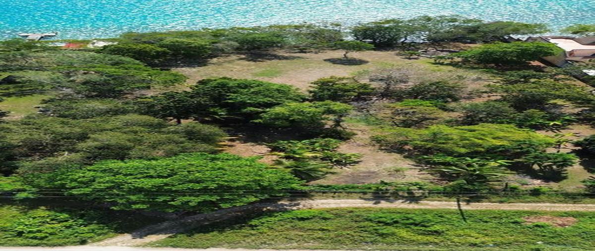 Foto de terreno habitacional en , bárbara guerrero pérez, bacalar, quintana roo, 30889615 foto 03 Foto de terreno habitacional en venta en , bárbara guerrero pérez, bacalar, quintana roo, 30889615 No. 03