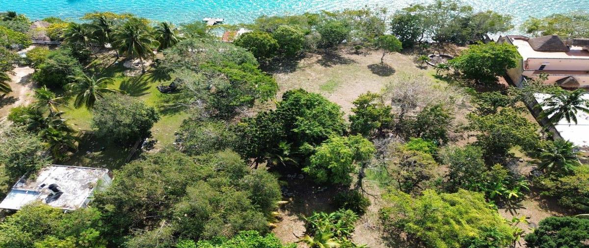 Foto de terreno habitacional en , bárbara guerrero pérez, bacalar, quintana roo, 30889615 foto 05 Foto de terreno habitacional en venta en , bárbara guerrero pérez, bacalar, quintana roo, 30889615 No. 05