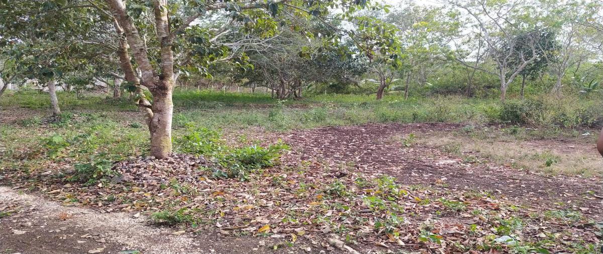 Foto de terreno habitacional en , bárbara guerrero pérez, bacalar, quintana roo, 0 foto 01 Foto de terreno habitacional en venta en , bárbara guerrero pérez, bacalar, quintana roo, 0 No. 01