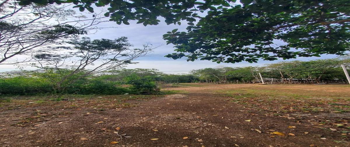 Foto de terreno habitacional en , bárbara guerrero pérez, bacalar, quintana roo, 0 foto 02 Foto de terreno habitacional en venta en , bárbara guerrero pérez, bacalar, quintana roo, 0 No. 02