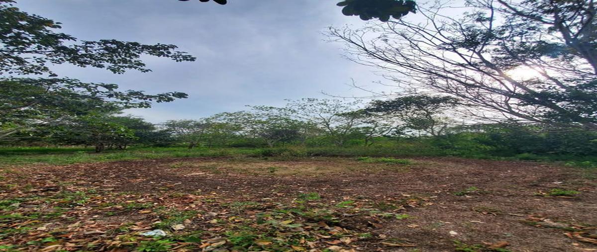 Foto de terreno habitacional en , bárbara guerrero pérez, bacalar, quintana roo, 30889616 foto 04 Foto de terreno habitacional en venta en , bárbara guerrero pérez, bacalar, quintana roo, 30889616 No. 04