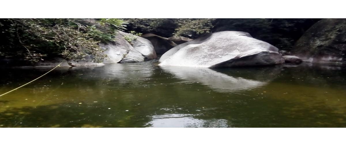 Foto de rancho en venta en  , barbasco, arriaga, chiapas, 0 No. 04