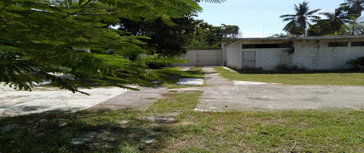 Foto de terreno comercial en barcelata y miguel hidalgo , panuco centro, pánuco, veracruz de ignacio de la llave, 25342422 foto 05 Foto de terreno comercial en venta en barcelata y miguel hidalgo , panuco centro, pánuco, veracruz de ignacio de la llave, 25342422 No. 05