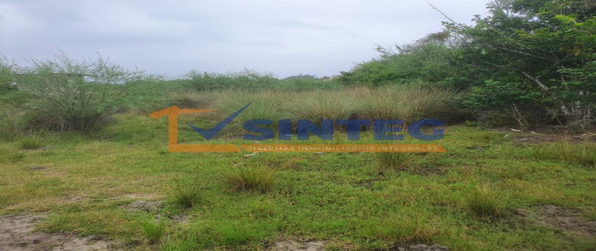 Foto de terreno habitacional en venta en  , barra de cazones, cazones de herrera, veracruz de ignacio de la llave, 0 No. 05