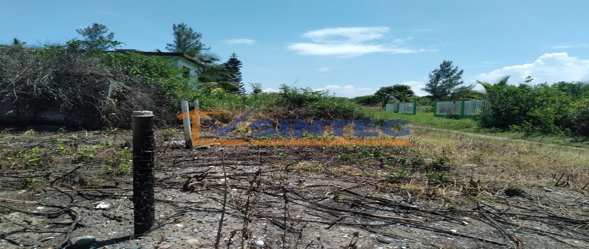 Foto de terreno habitacional en venta en  , barra de cazones, cazones de herrera, veracruz de ignacio de la llave, 26923215 No. 03