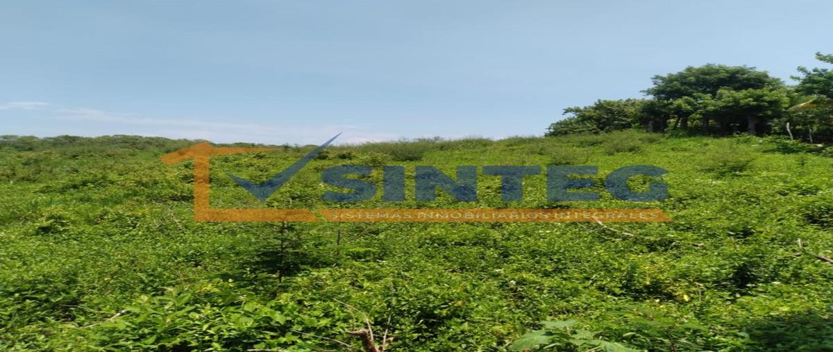 Foto de terreno habitacional en venta en  , barra de cazones, cazones de herrera, veracruz de ignacio de la llave, 0 No. 04
