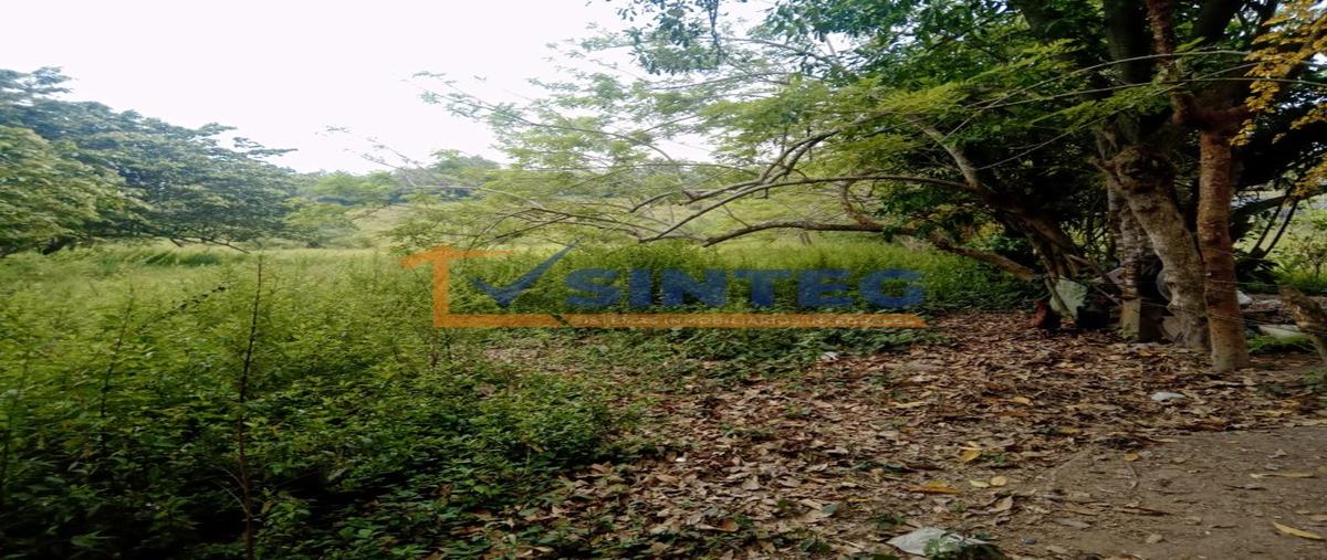 Foto de terreno habitacional en venta en  , barra de cazones, cazones de herrera, veracruz de ignacio de la llave, 0 No. 03