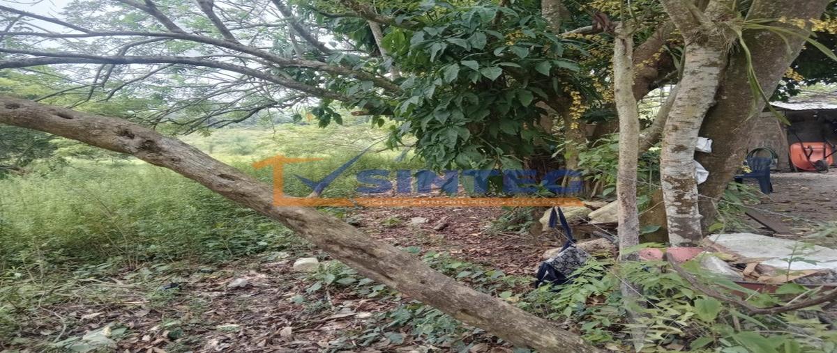 Foto de terreno habitacional en venta en  , barra de cazones, cazones de herrera, veracruz de ignacio de la llave, 0 No. 05