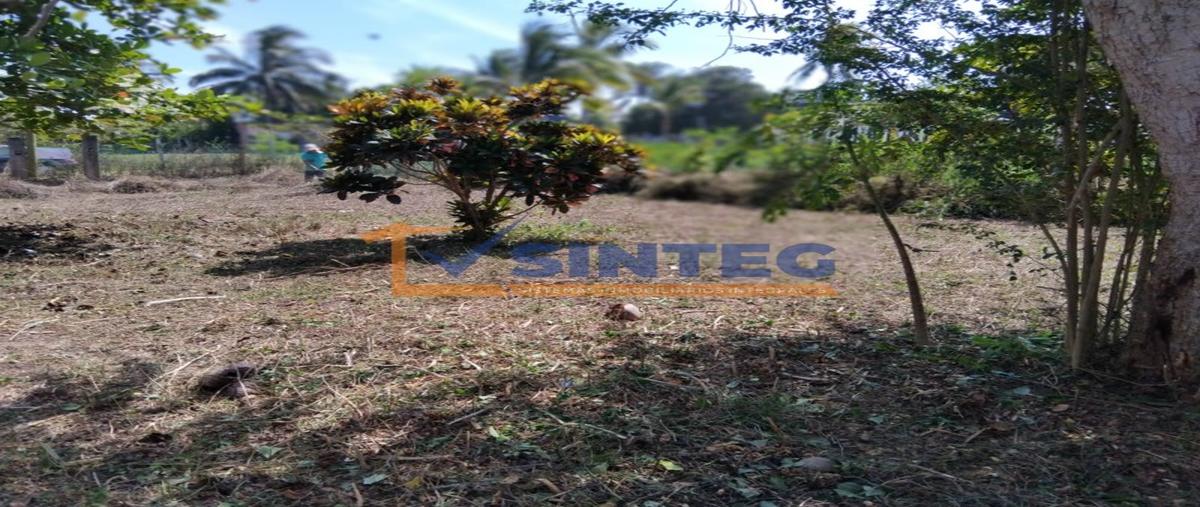 Foto de terreno habitacional en renta en  , barra de cazones, cazones de herrera, veracruz de ignacio de la llave, 30132229 No. 05