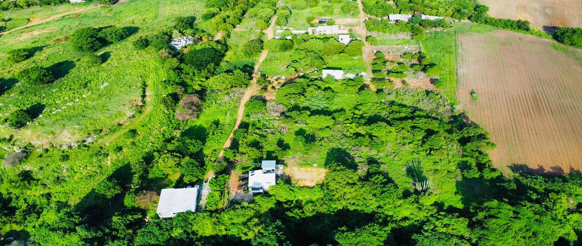 Foto de terreno habitacional en venta en barra de navidad , puerto escondido (puerto escondido), san pedro mixtepec -dto. 22 -, oaxaca, 28178096 No. 04