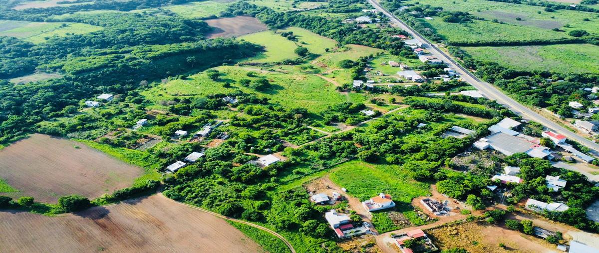 Foto de terreno habitacional en venta en barra de navidad , puerto escondido (puerto escondido), san pedro mixtepec -dto. 22 -, oaxaca, 28178096 No. 05