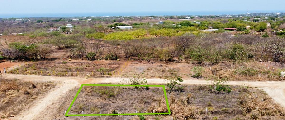 Foto de terreno habitacional en venta en barra de navidad , puerto escondido (puerto escondido), san pedro mixtepec -dto. 22 -, oaxaca, 31379764 No. 04