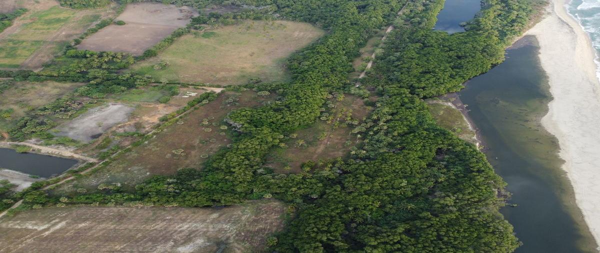 Foto de terreno habitacional en venta en  , barra de navidad, santa maría colotepec, oaxaca, 28206818 No. 04