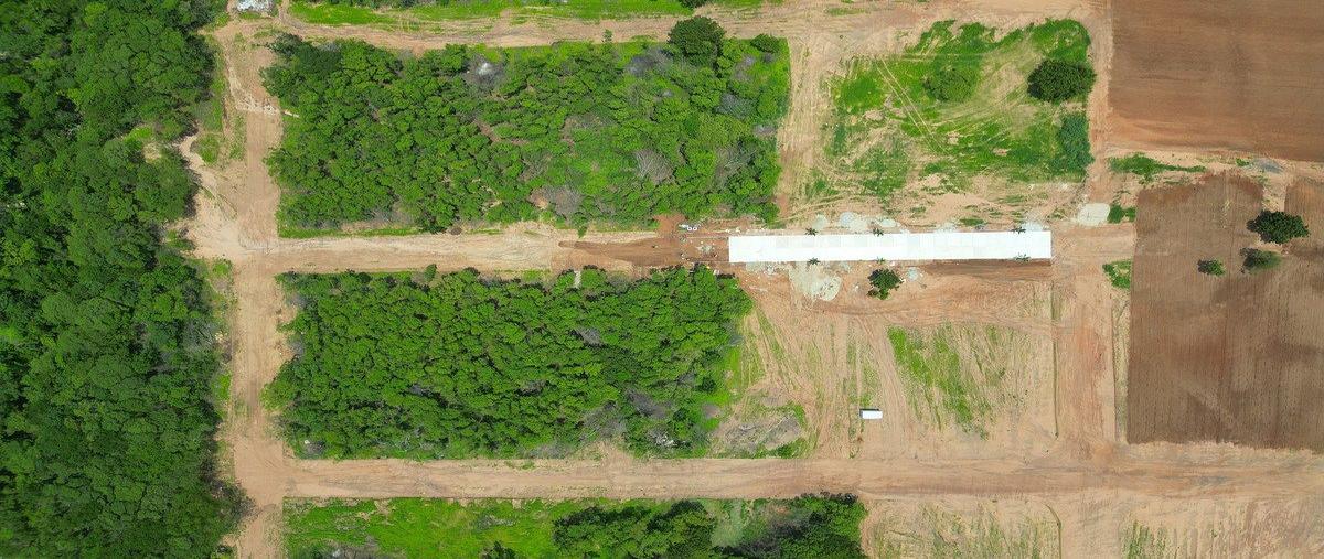 Foto de terreno habitacional en renta en  , barra de navidad, santa maría colotepec, oaxaca, 0 No. 06