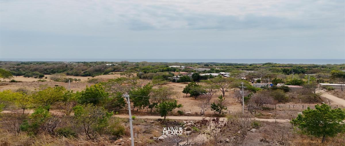 Foto de terreno habitacional en venta en  , barra de navidad, santa maría colotepec, oaxaca, 0 No. 05