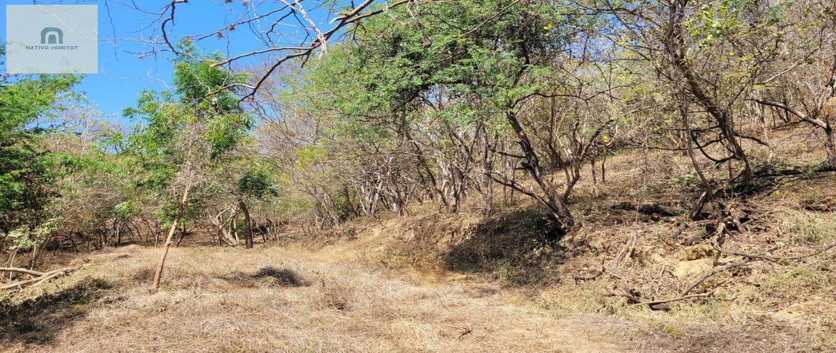 Foto de terreno habitacional en venta en  , barra de navidad, santa maría colotepec, oaxaca, 0 No. 04