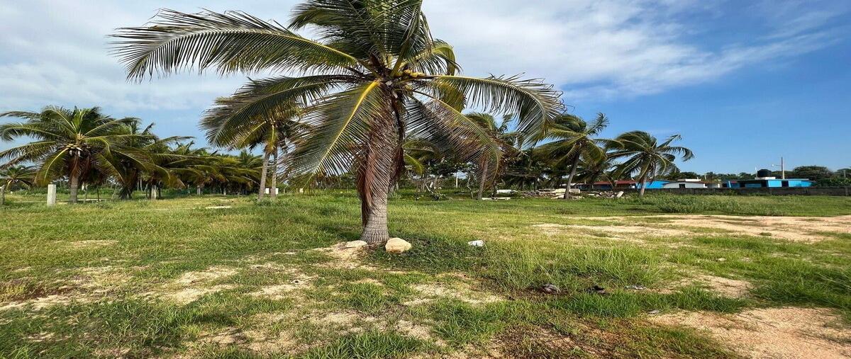 Foto de terreno habitacional en venta en barra de potosí , aeropuerto, zihuatanejo de azueta, guerrero, 0 No. 03