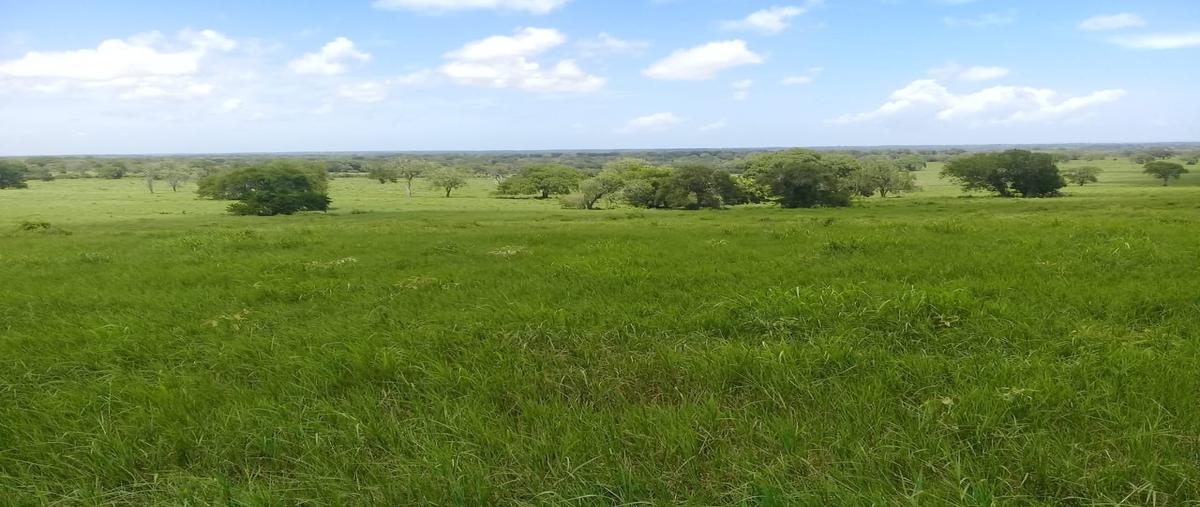 Foto de terreno comercial en venta en barra del tordo , aldama, aldama, tamaulipas, 28254007 No. 03