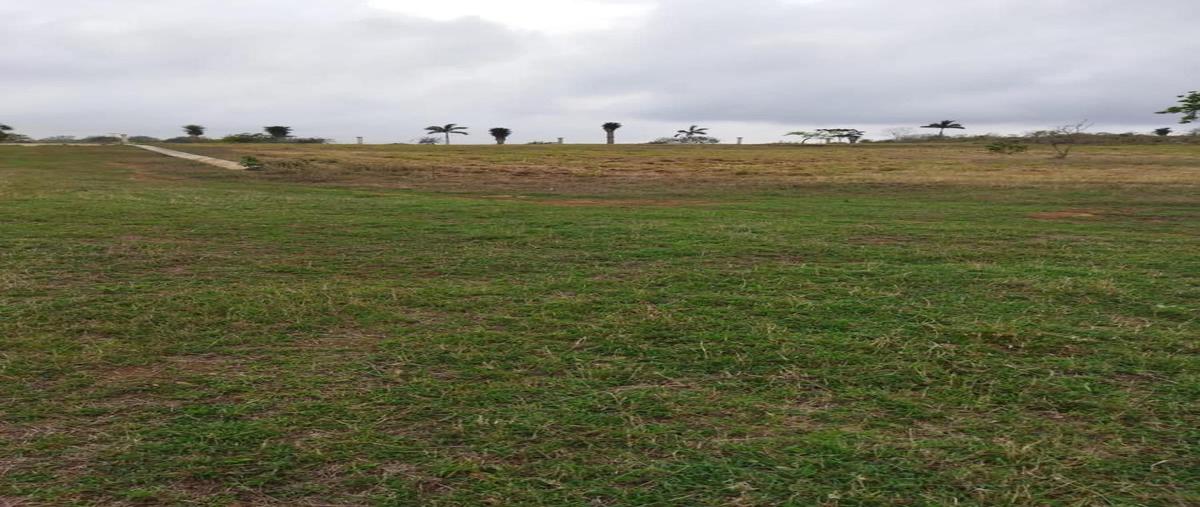 Foto de terreno habitacional en venta en  , barra del tordo, aldama, tamaulipas, 25167904 No. 03